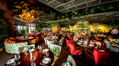 MamaZonia: A tropical escape in the heart of the city!