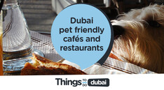 Dubai pet friendly cafés and restaurants